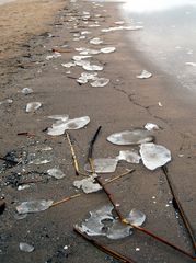 Noch mehr Strandgut...