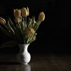 noch mehr tulpen