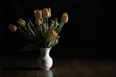 noch mehr tulpen