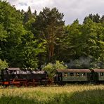 Noch mehr vom Kuckucksbähnel (Nr.2)