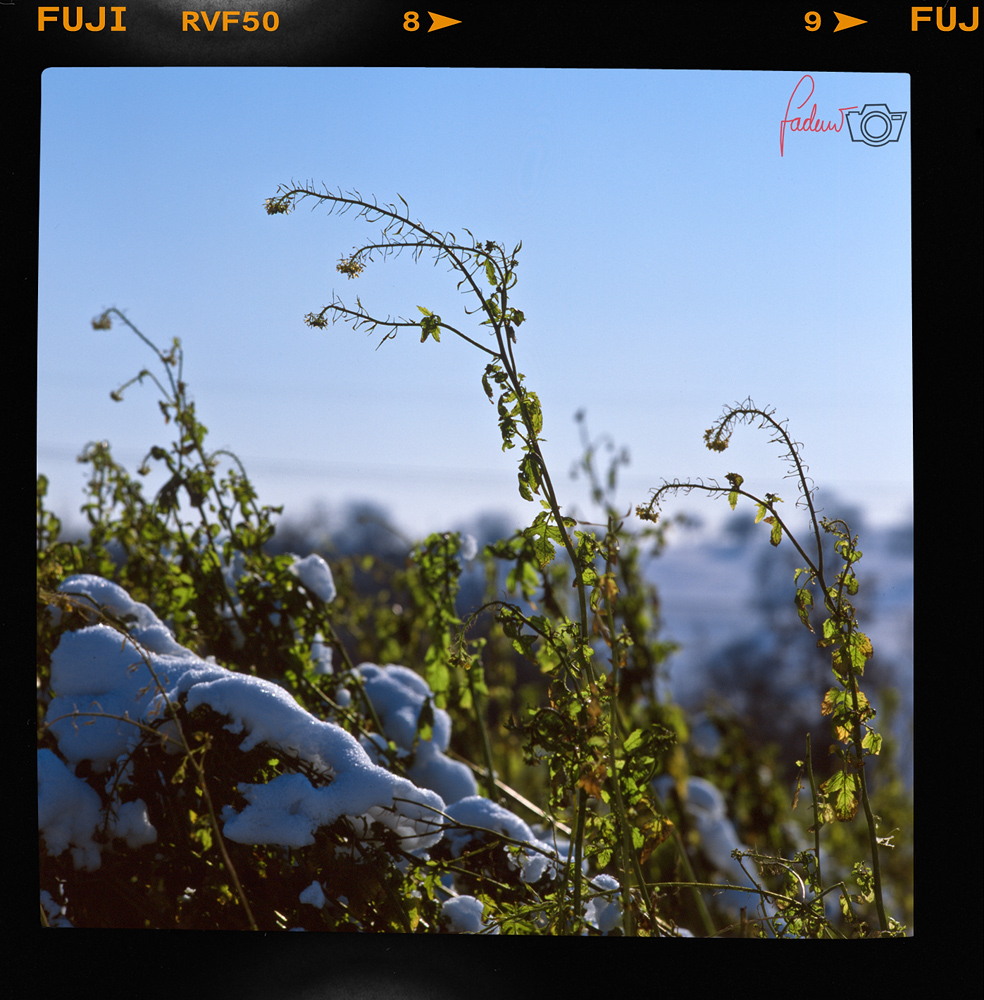 ...noch mehr Winter