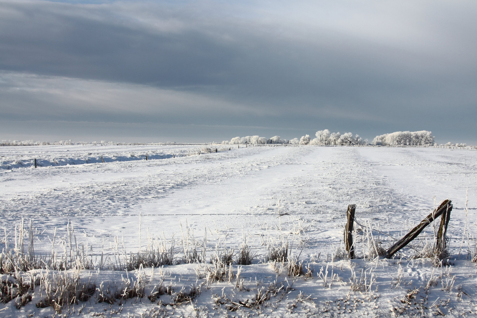 noch mehr Winter 2