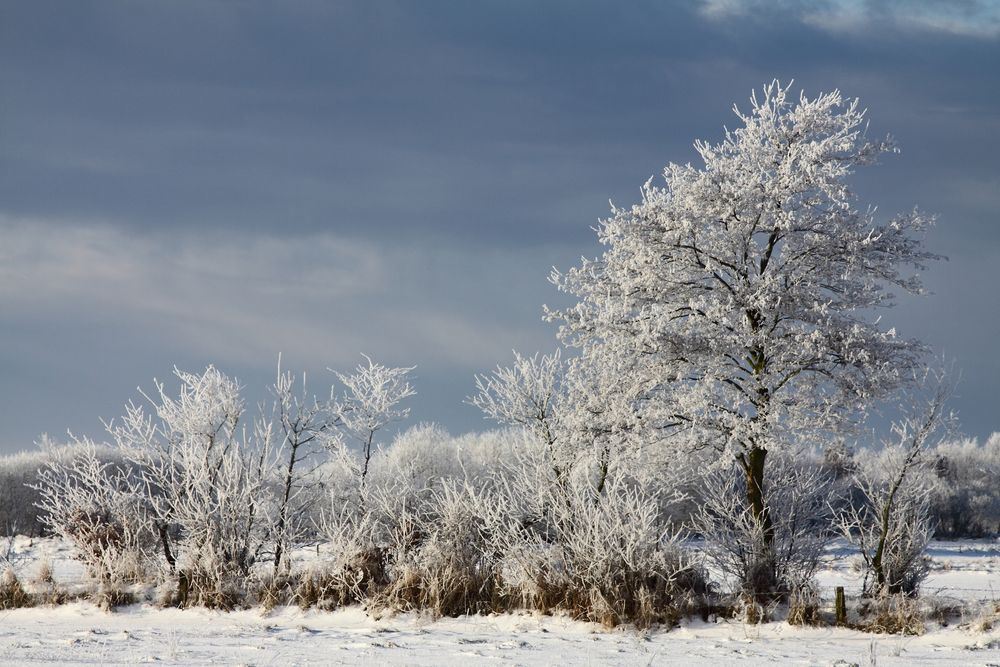 noch mehr Winter