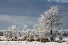 noch mehr Winter