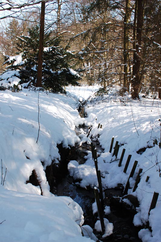 Noch mehr Winter im Alstertal