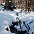 Noch mehr Winter im Alstertal