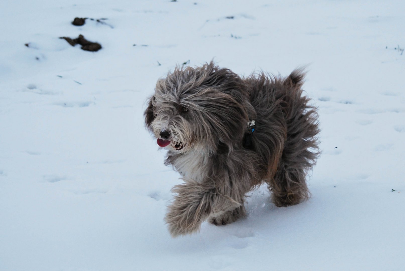 noch mehr Winterwahnsinn