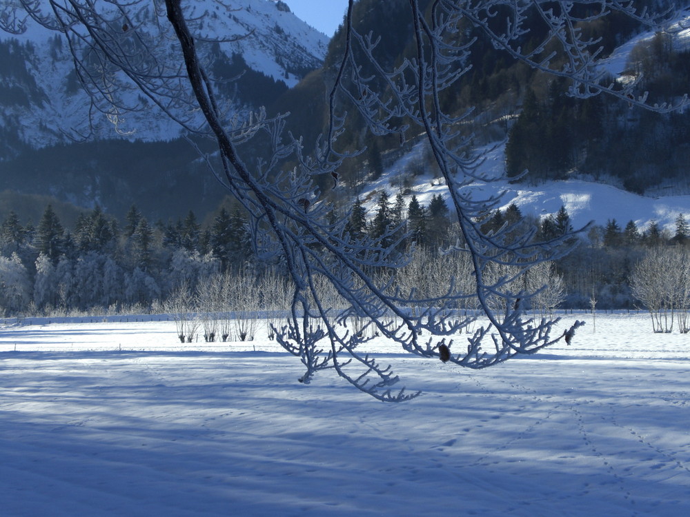 Noch mehr Winterzauber