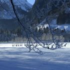 Noch mehr Winterzauber