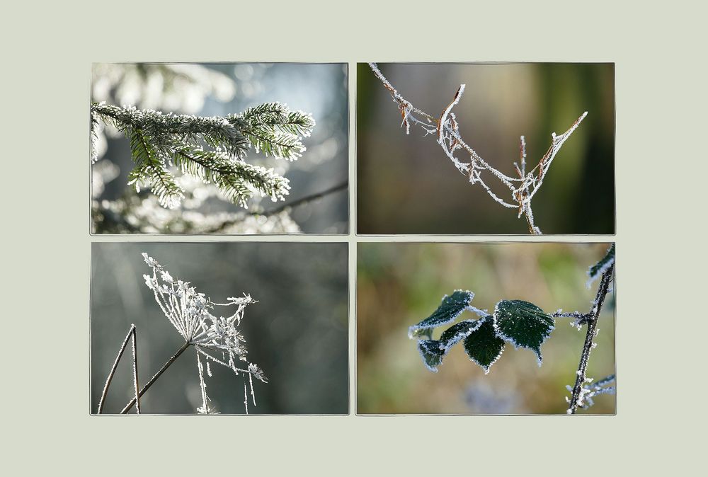 noch mehr Winterzauber...