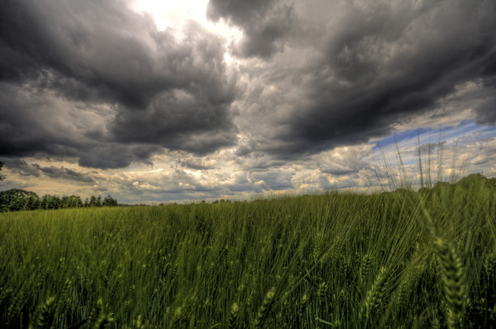 Noch mehr Wolken