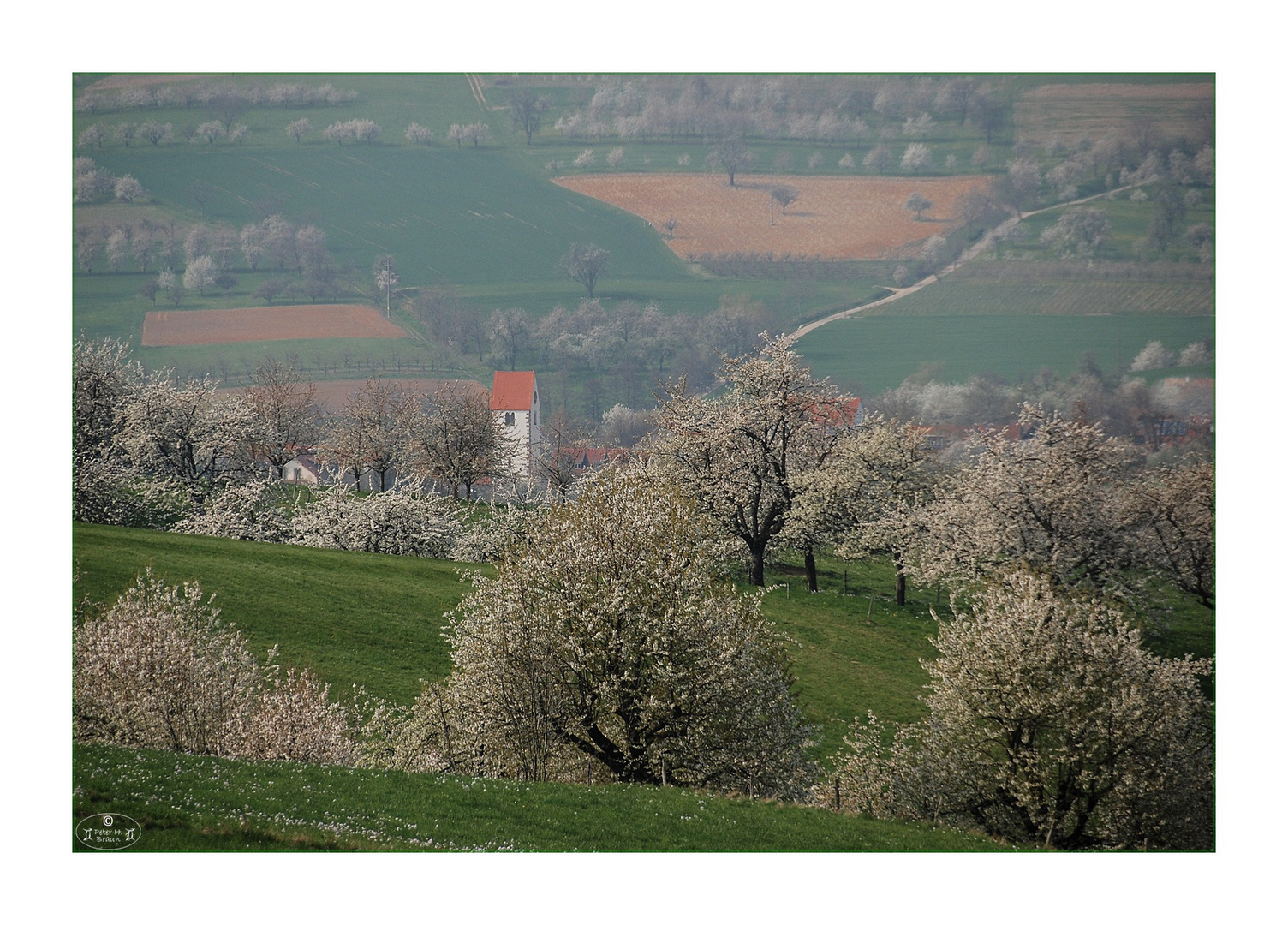 Noch 'n Frühlingsgruß 