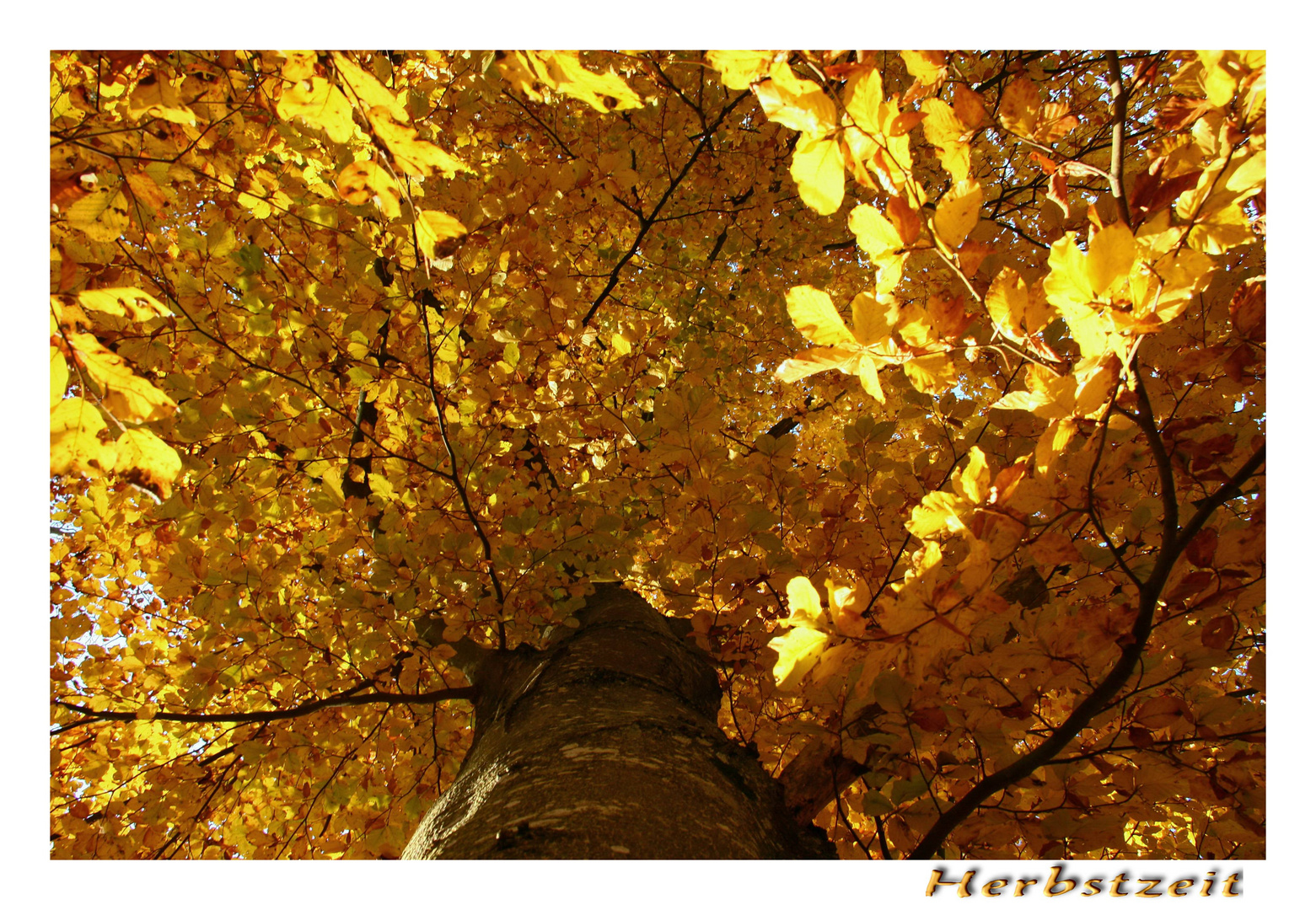 Noch `n Herbstbild