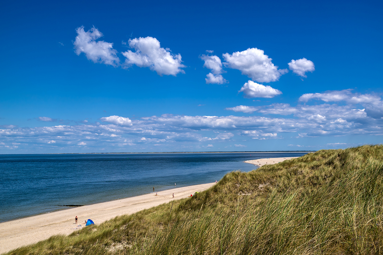 Noch 'ne blaue Strandmuschel