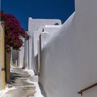 noch 'ne Gasse mit Frühblüher Bougainvillea 