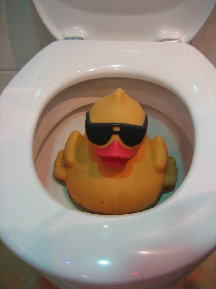 Noch 'ne WC-Ente