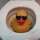 Noch 'ne WC-Ente