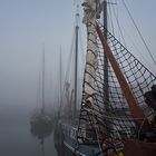 Noch Nebel im Hafen von Harlingen