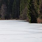 Noch nicht ganz Eisfrei