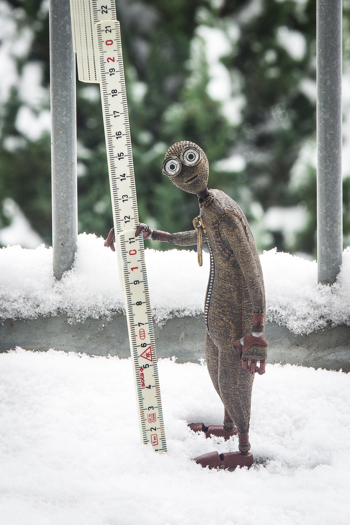 Noch nicht genug Schnee zum Schlitten fahren!