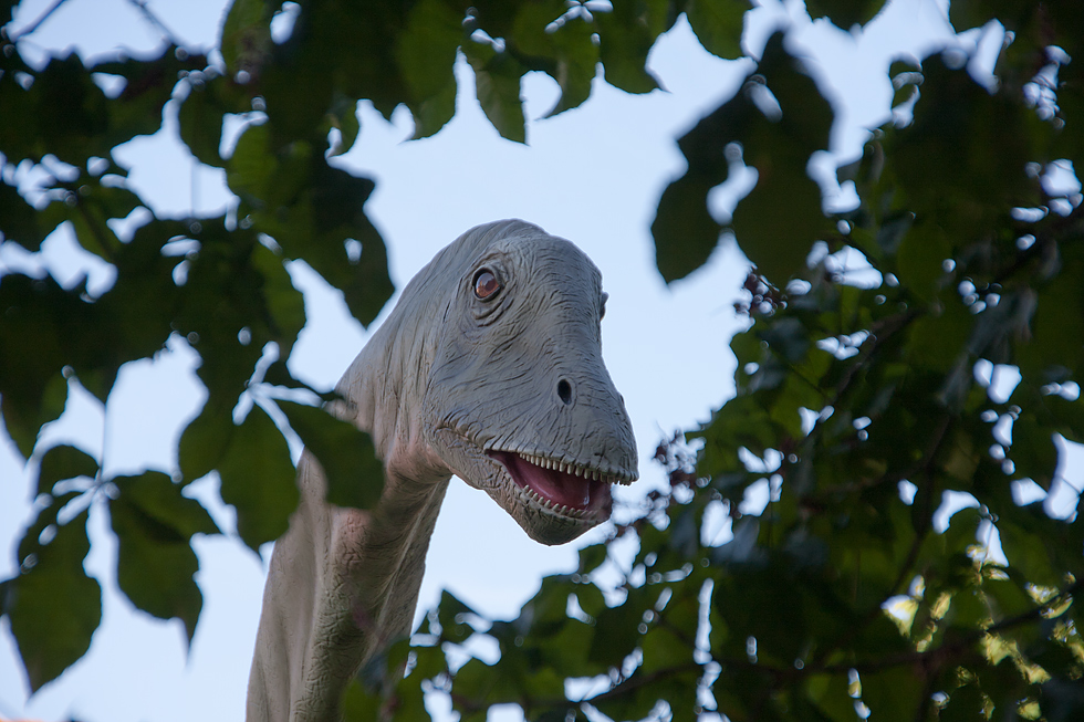 Noch nie einen Diplodocus gesehen........