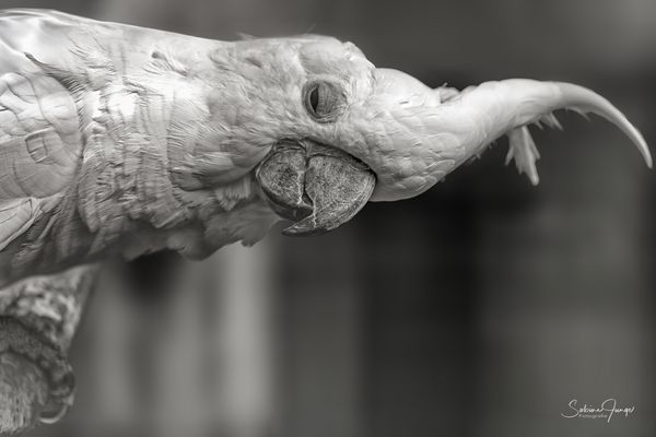 Noch nie 'ne schwere Nacht gehabt?