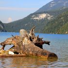 Noch nie so gesehen- Königsee bei Berchtesgaden/ Schönau