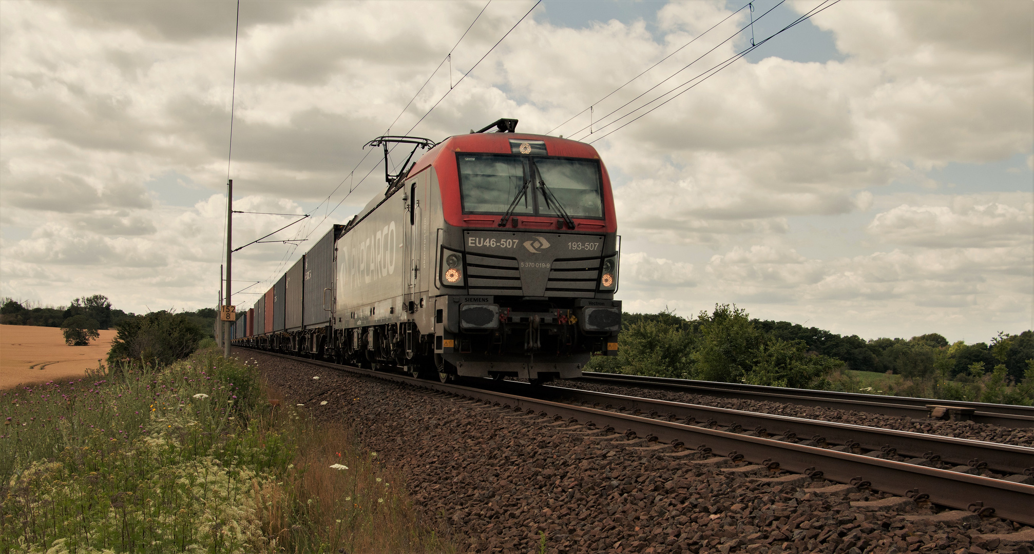 Noch oben am Bahndamm...