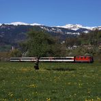 Noch-Planverkehr im Rheintal (1)