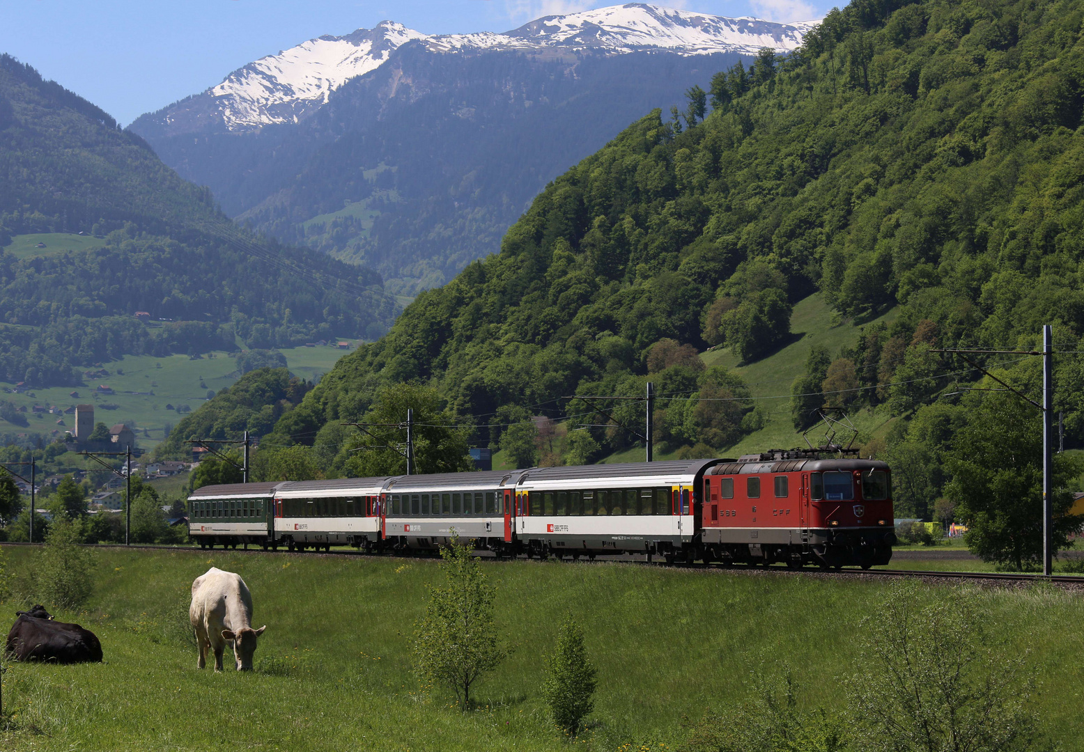 Noch-Planverkehr im Rheintal (3)