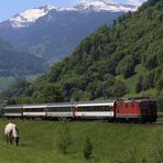 Noch-Planverkehr im Rheintal (3)