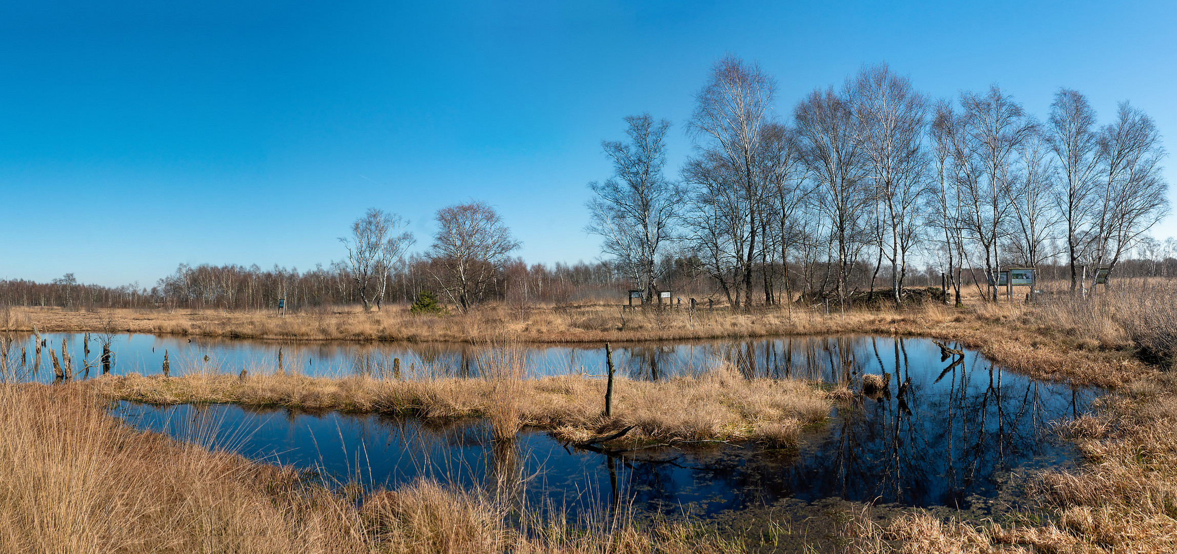 Noch rührt sich nichts im Moor!