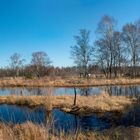 Noch rührt sich nichts im Moor!