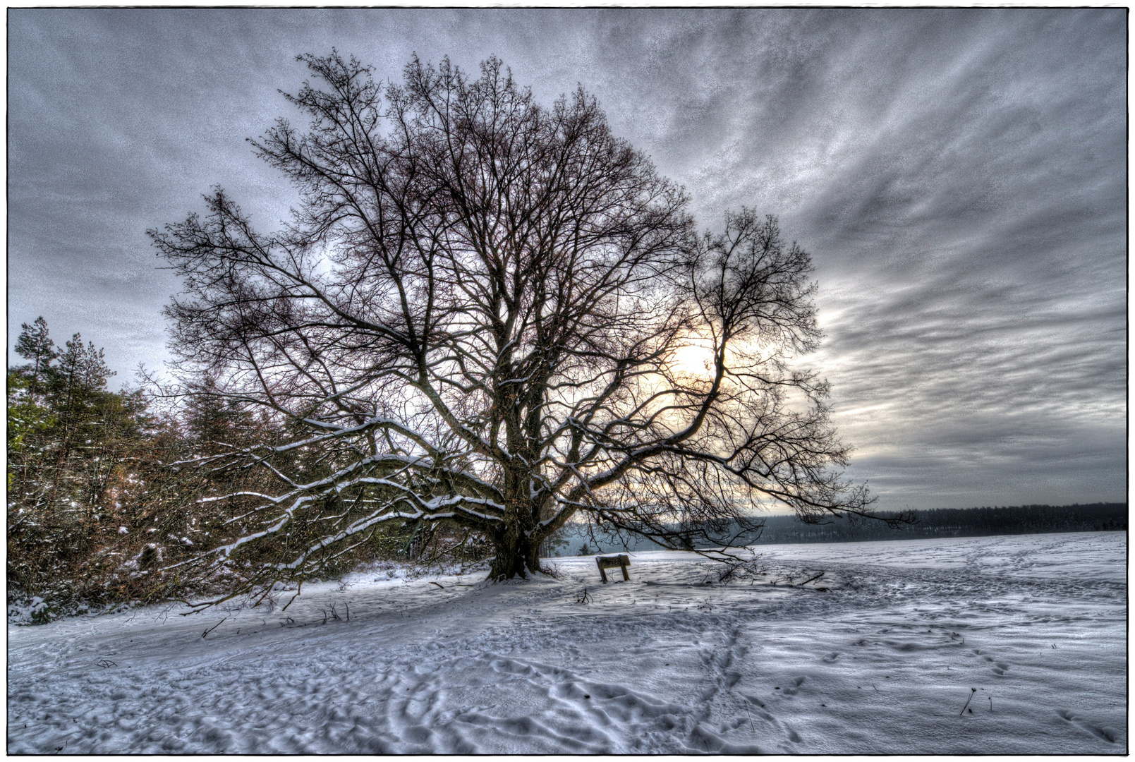 Noch ruht die Natur ...