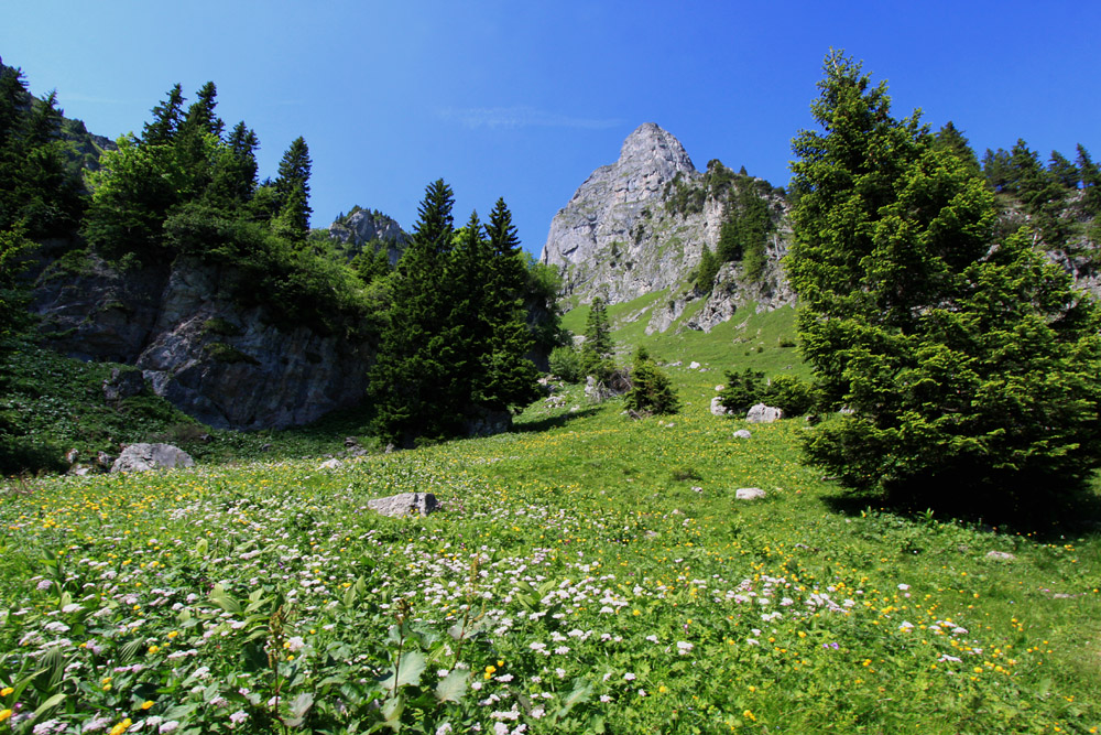 Noch scheener