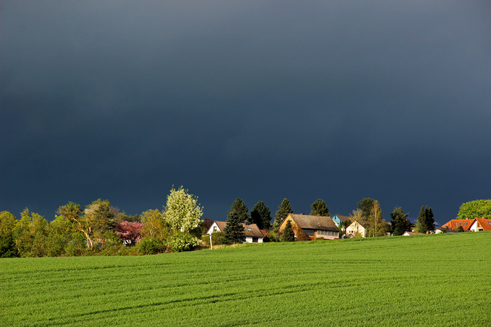 * NOCH scheint die Sonne über Seesen *