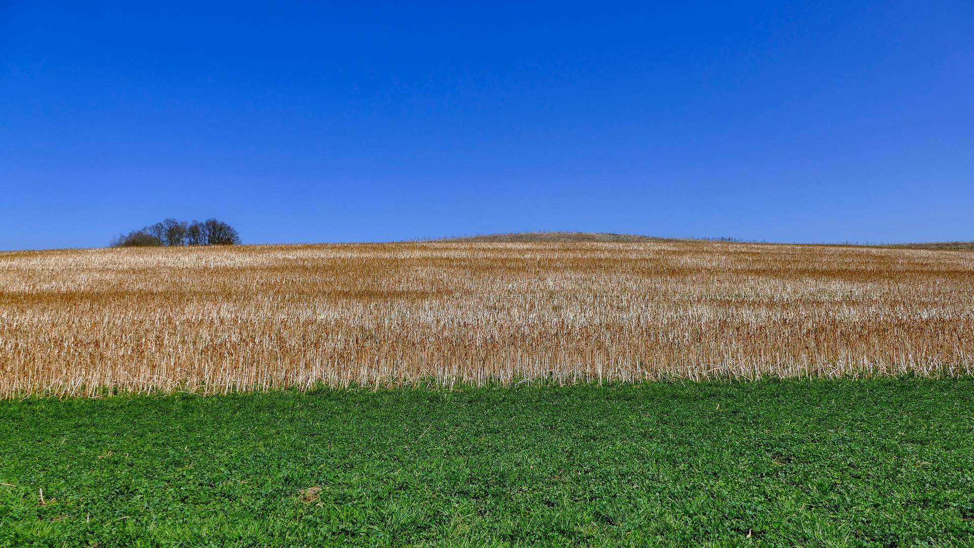 noch schlichte landschaft