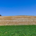 noch schlichte landschaft