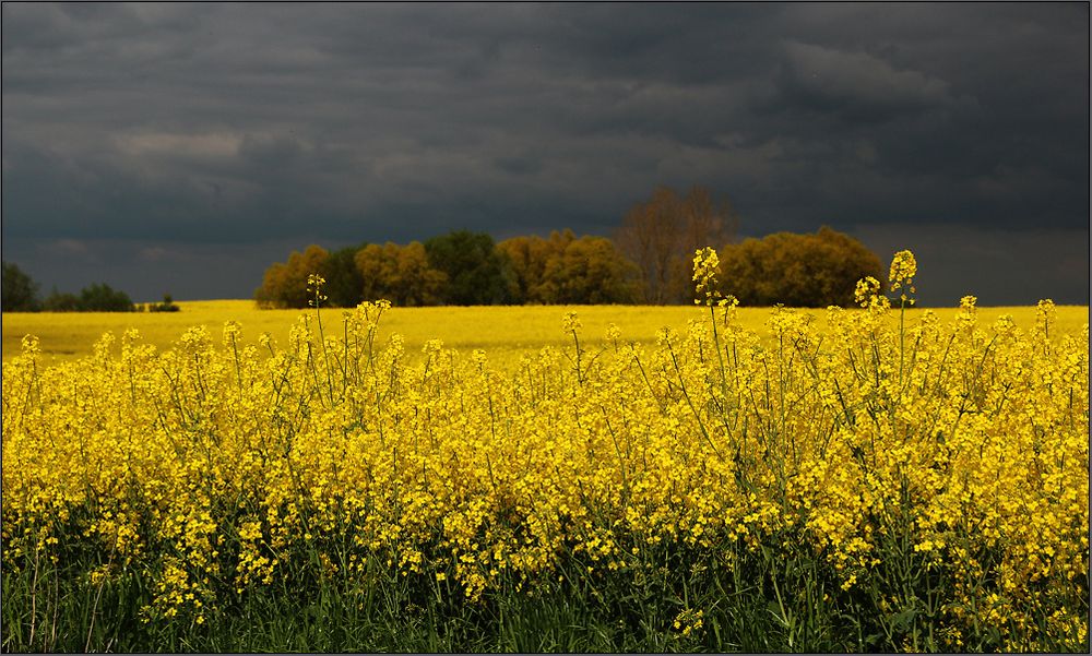 Noch schnell ein bißchen Uckermark ...