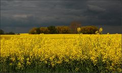 Noch schnell ein bißchen Uckermark ...