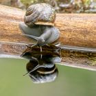 Noch schnell! ein Blick in den Spiegel