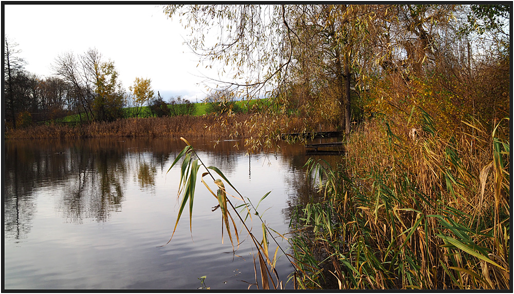 Noch sieht der Herbst....