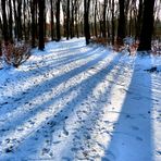 Noch sind die Schatten sehr lang