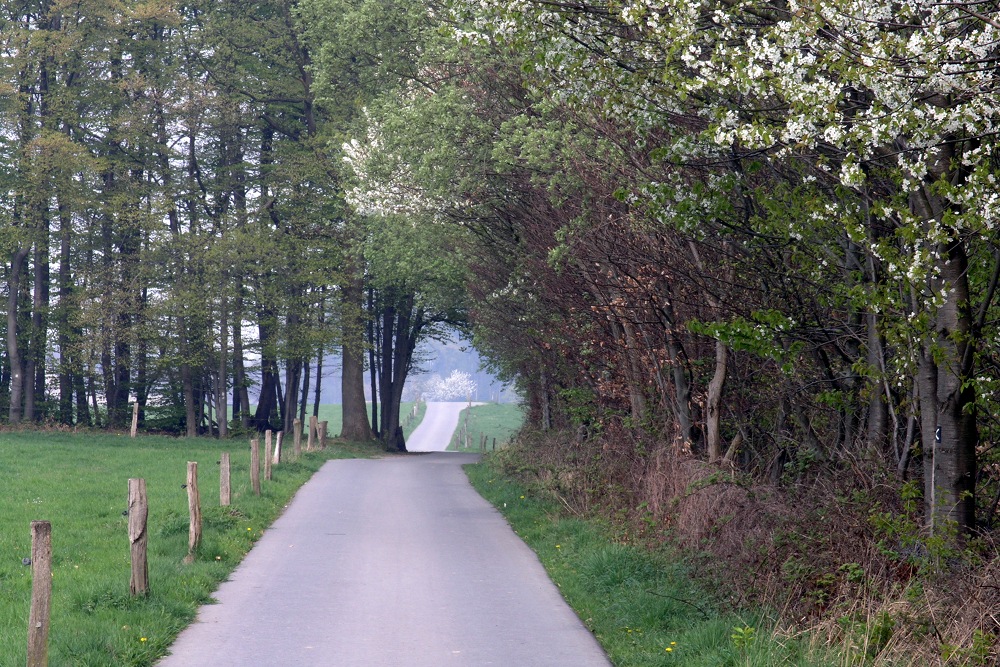 Noch sind die Wege leer am Ostersonntagmorgen