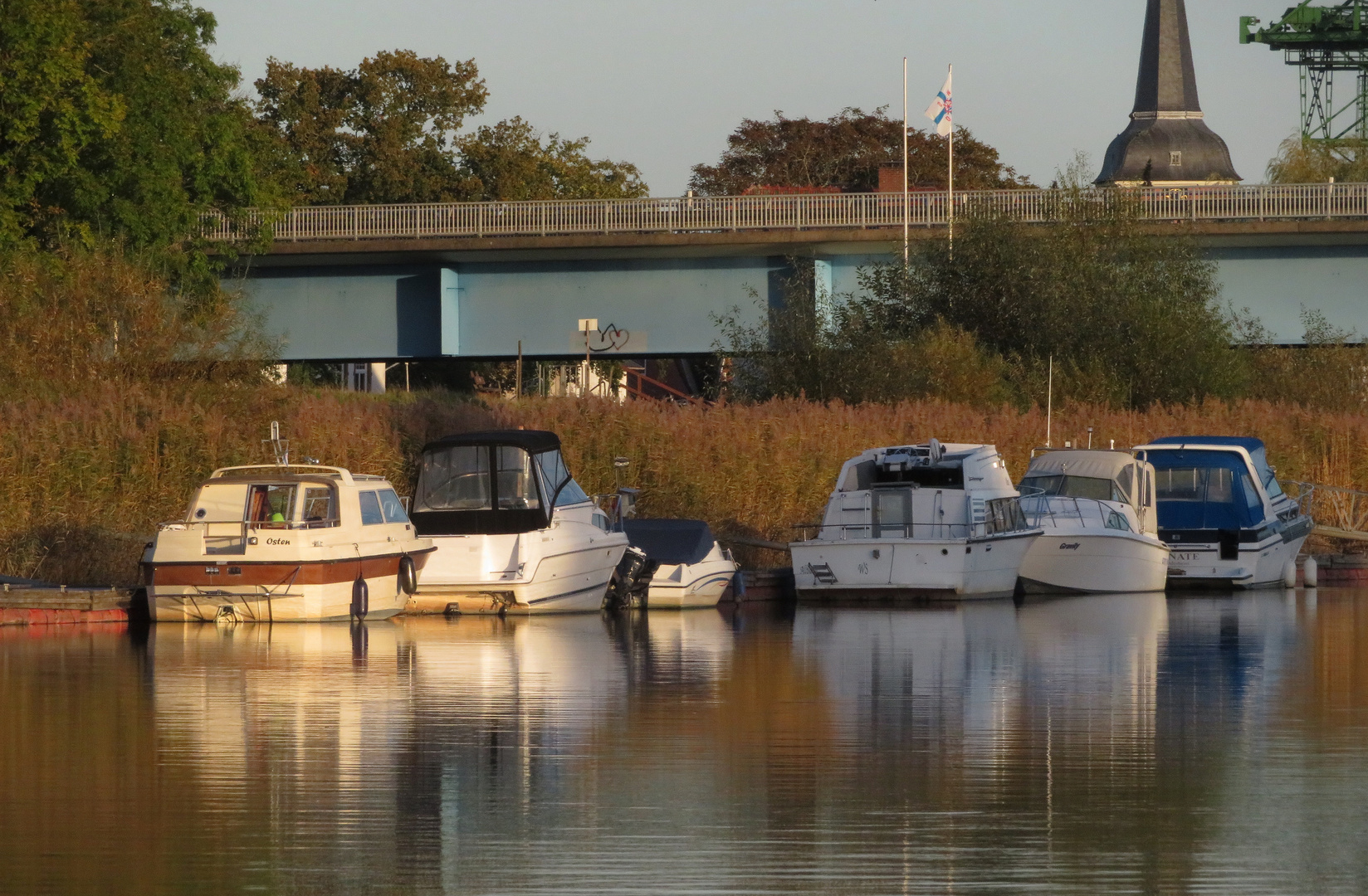 noch sind sie im Wasser ...