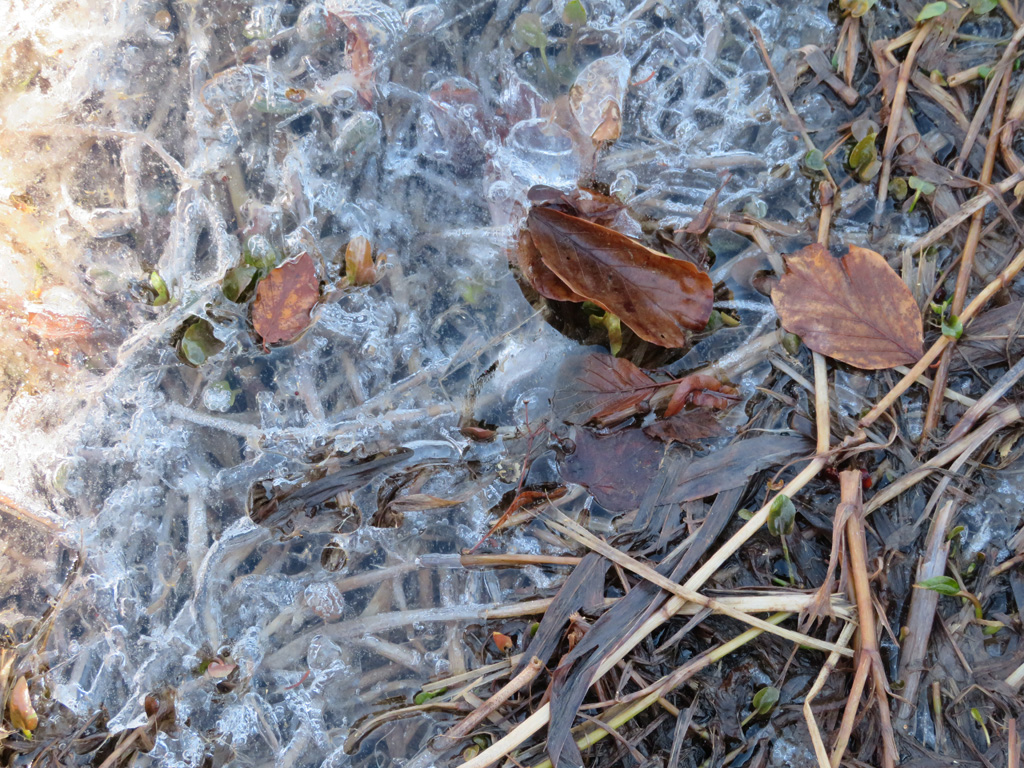 noch so ein Eiskunstwerk der Natur 