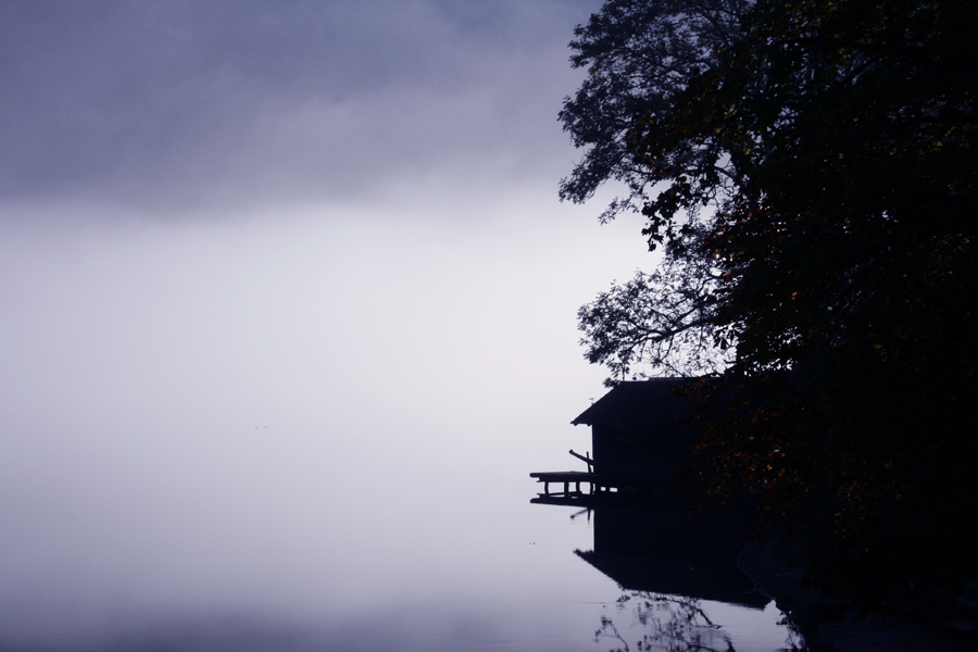 Noch so ein Morgennebel-Foto