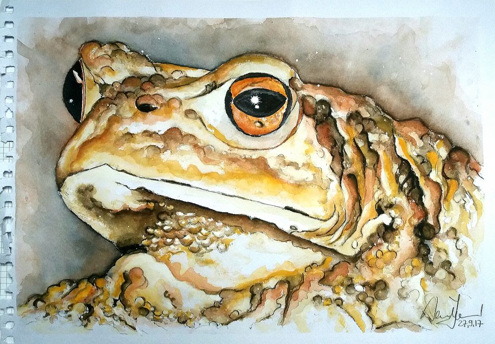 Noch so eine Kröte... Foto &