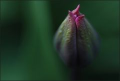 ..noch son Schnütchen