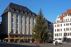 Noch steht der Baum